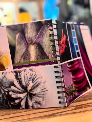 Do sezóny PODZIM & ZIMA 2025/2026 🥳 nadšeně vstupují známé i neznámé barevné tváře a letos dokonce o ☝🏼 jednoho člena víc...