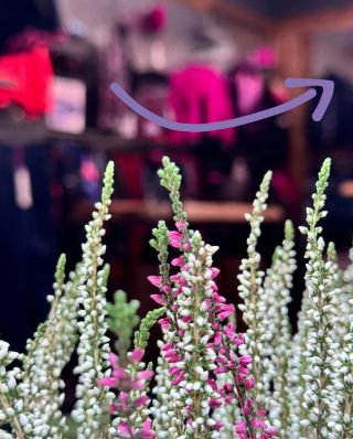 Sychravé podzimní 🍁 počasí je taky příležitostí pro CRAZY doplňky, které se vám rádi 🫶🏻 postarají o teplo a příjemné...